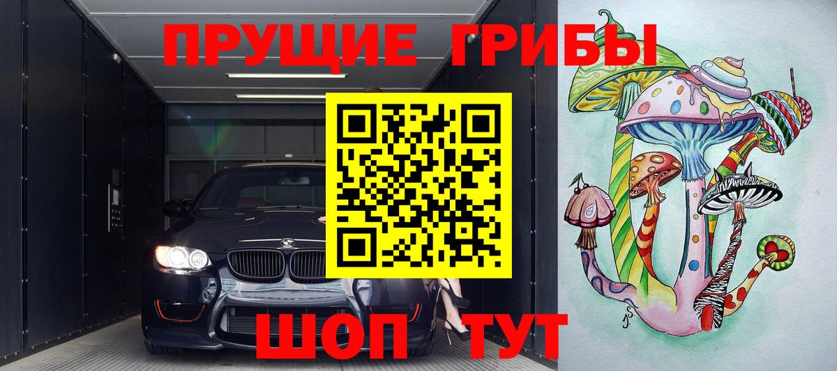 Галлюциногенные грибы Cubensis  как найти закладки  Зеленогорск  Вход с VPN 