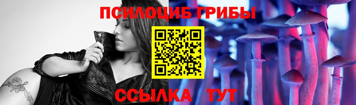 Псилоцибиновые грибы ЛСД Зеленогорск