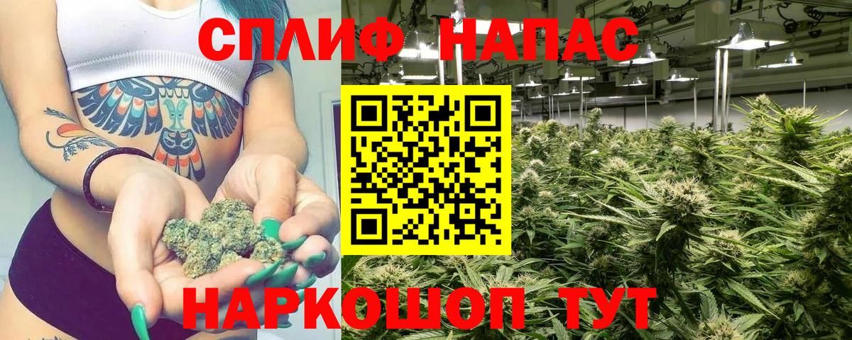 МАРИХУАНА план  Вход с VPN  Канабис конопля  Зеленогорск 